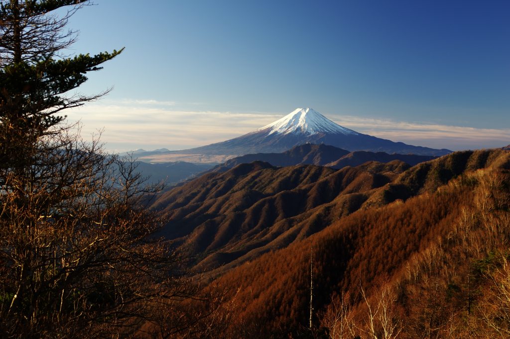 黒岳付近から見た富士山