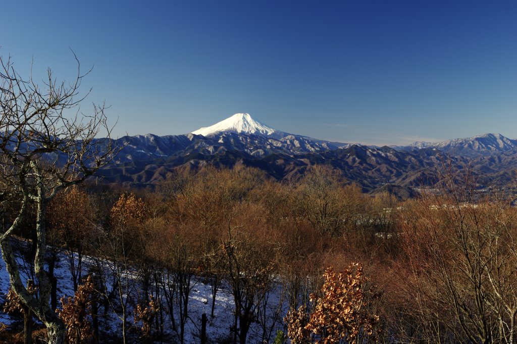 陣馬山から見た富士山