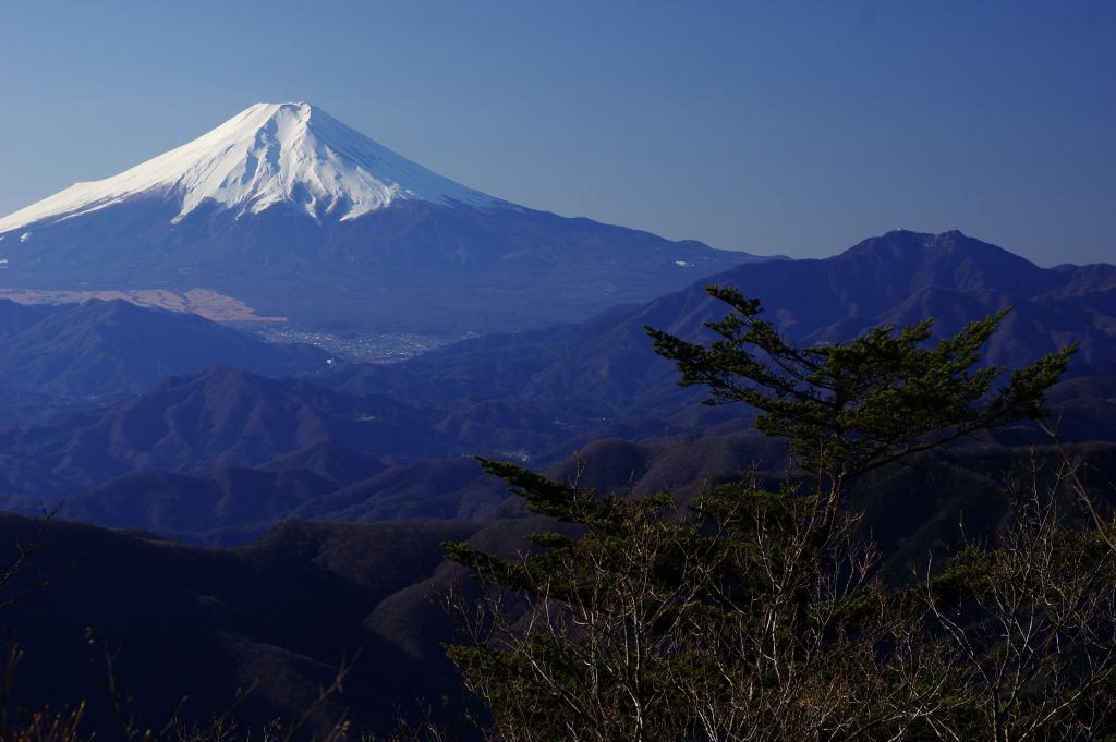 三頭山から富士山を遠望